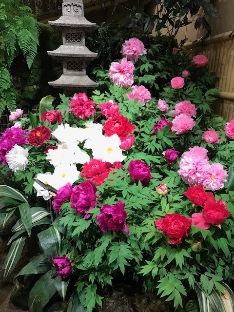 日本庭園 由志園_f0204295_16452745.jpg