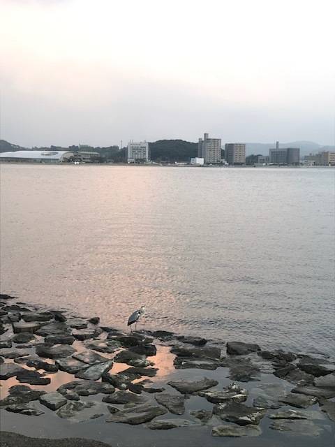 日本庭園 由志園_f0204295_17201784.jpg