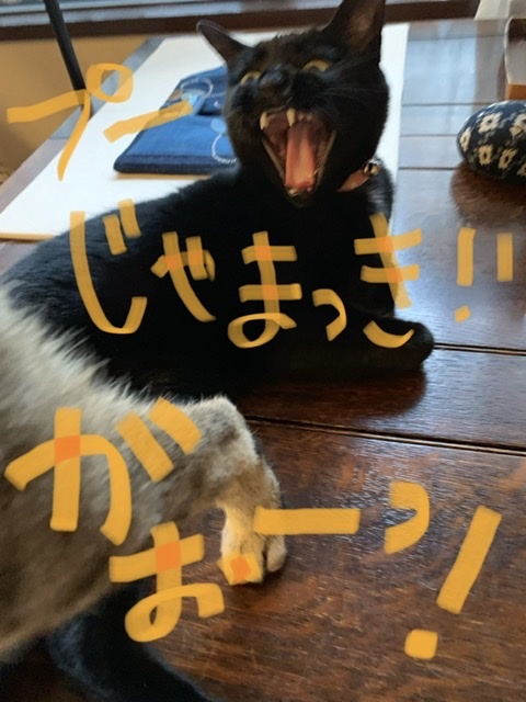 ひとつづつ_e0358096_17580053.jpeg