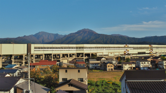 垂直な紅葉前線!_c0336902_22393777.jpg