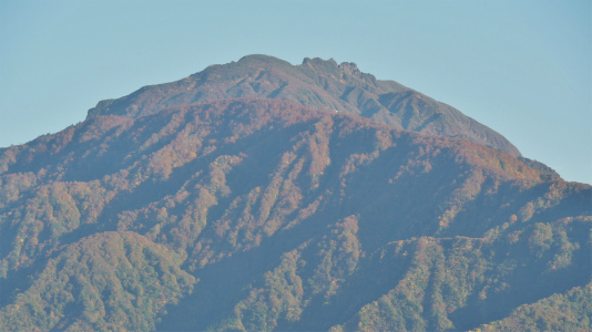 垂直な紅葉前線!_c0336902_22394402.jpg