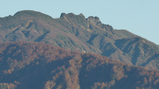 垂直な紅葉前線!_c0336902_22394831.jpg