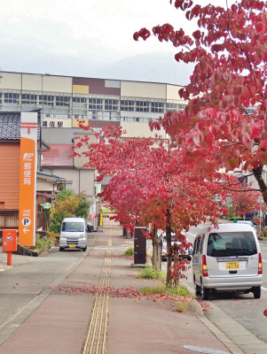 駅通りは紅葉真っ盛り_c0336902_22501788.jpg