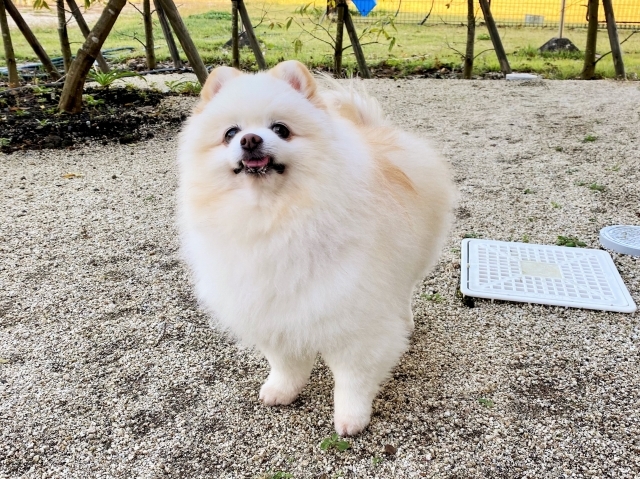 結果発表_d0360206_01095657.jpg