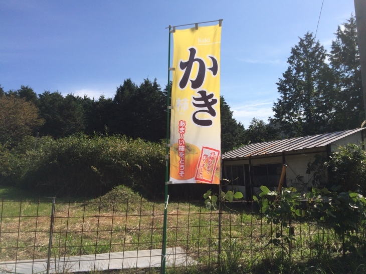 毎年恒例親睦会・リンゴ狩り&バーベキューの巻_e0036217_01540229.jpg