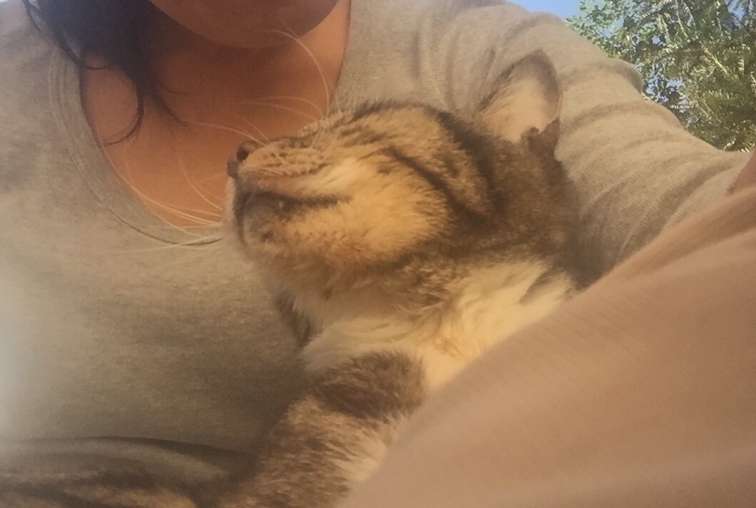 うむ の ー ブログ ぎょ こ だす さん