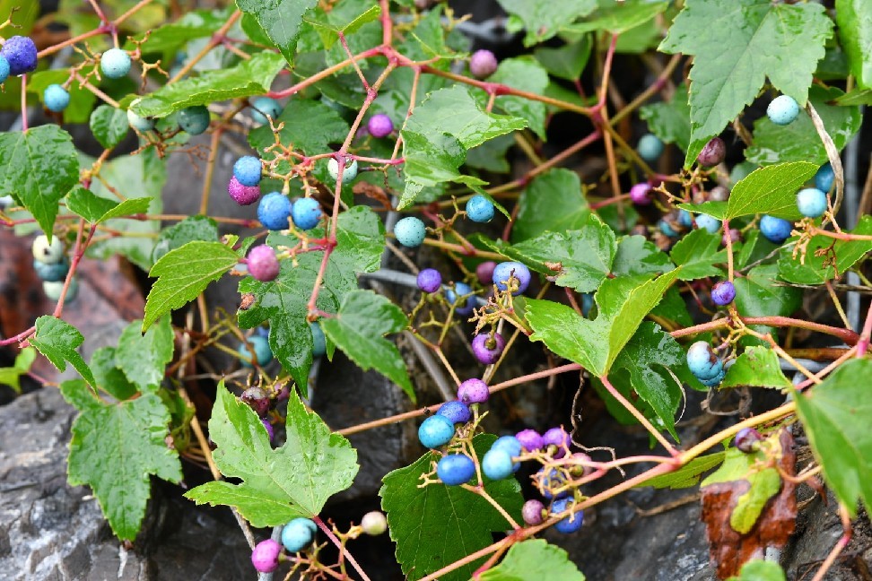 f0340732_21250179.jpg