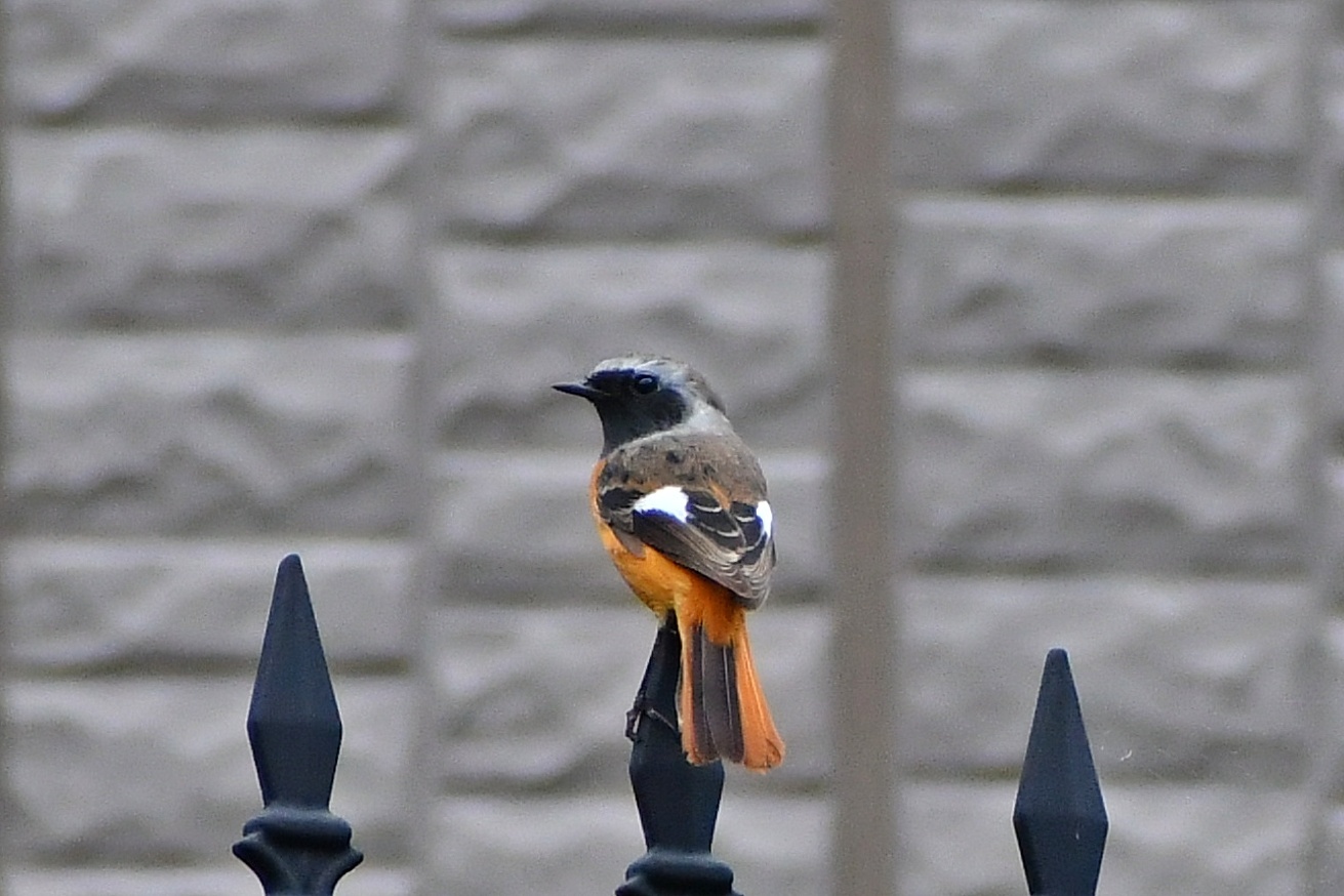 f0340732_21254290.jpg