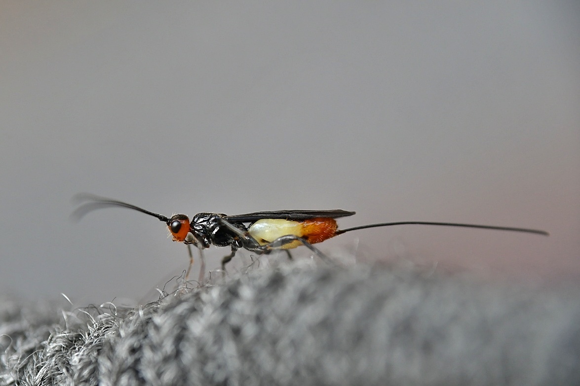 f0340732_21263934.jpg