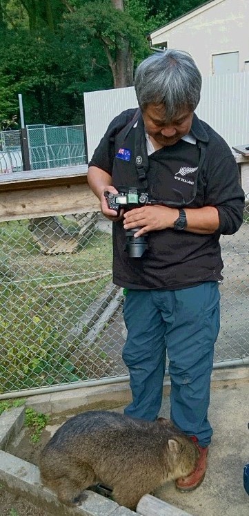 ウォンバット君 再会 池田市 五月山動物園_f0050534_21365743.jpg