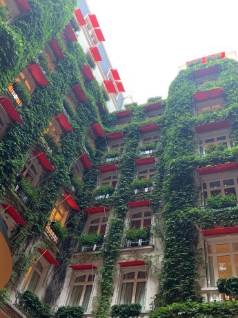 ホテルのテラスでお食事を ～La Cour Jardin, Hôtel Plaza Athénée, Paris～ 2019年8月_a0258141_19554148.jpg