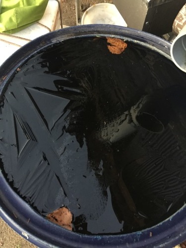 初氷 いよいよ冬です_c0369344_20354494.jpeg