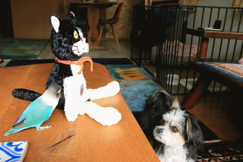 c0145250_11331415.gif