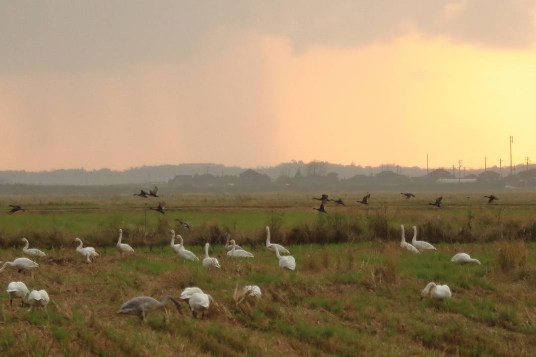 e0403850_12004084.jpg