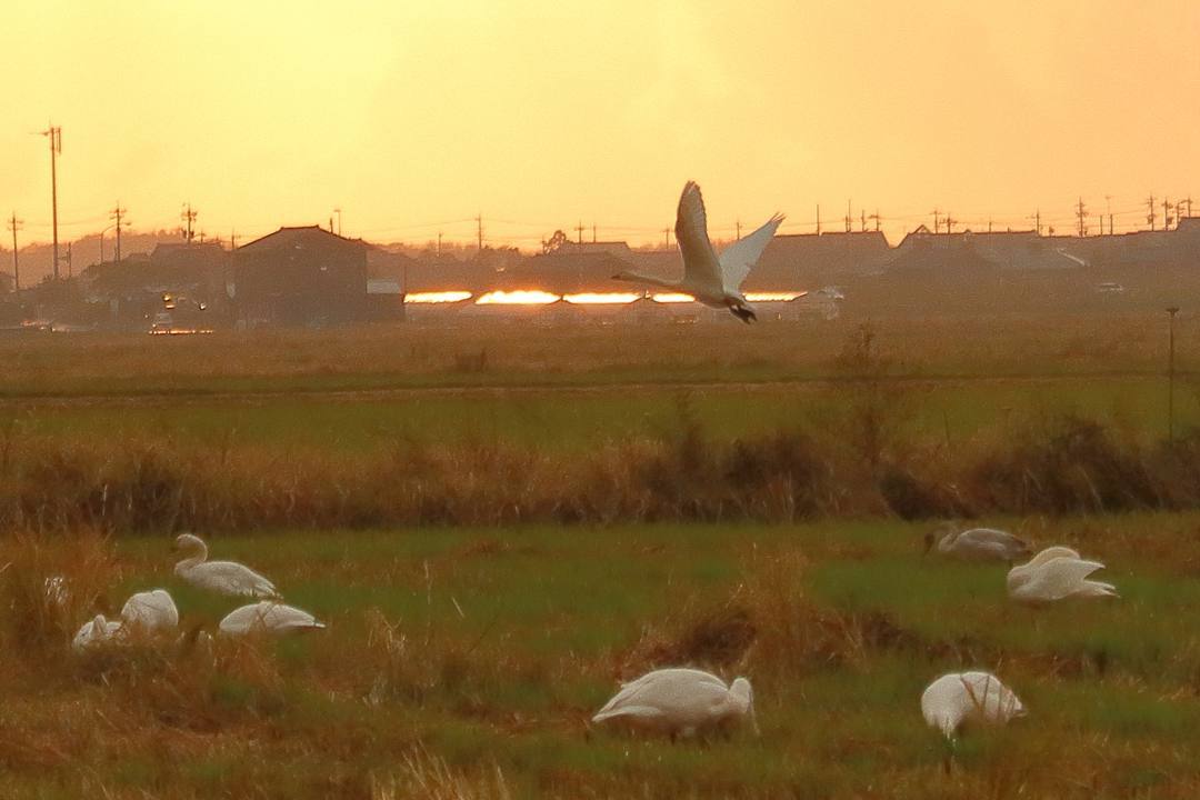 e0403850_12014510.jpg