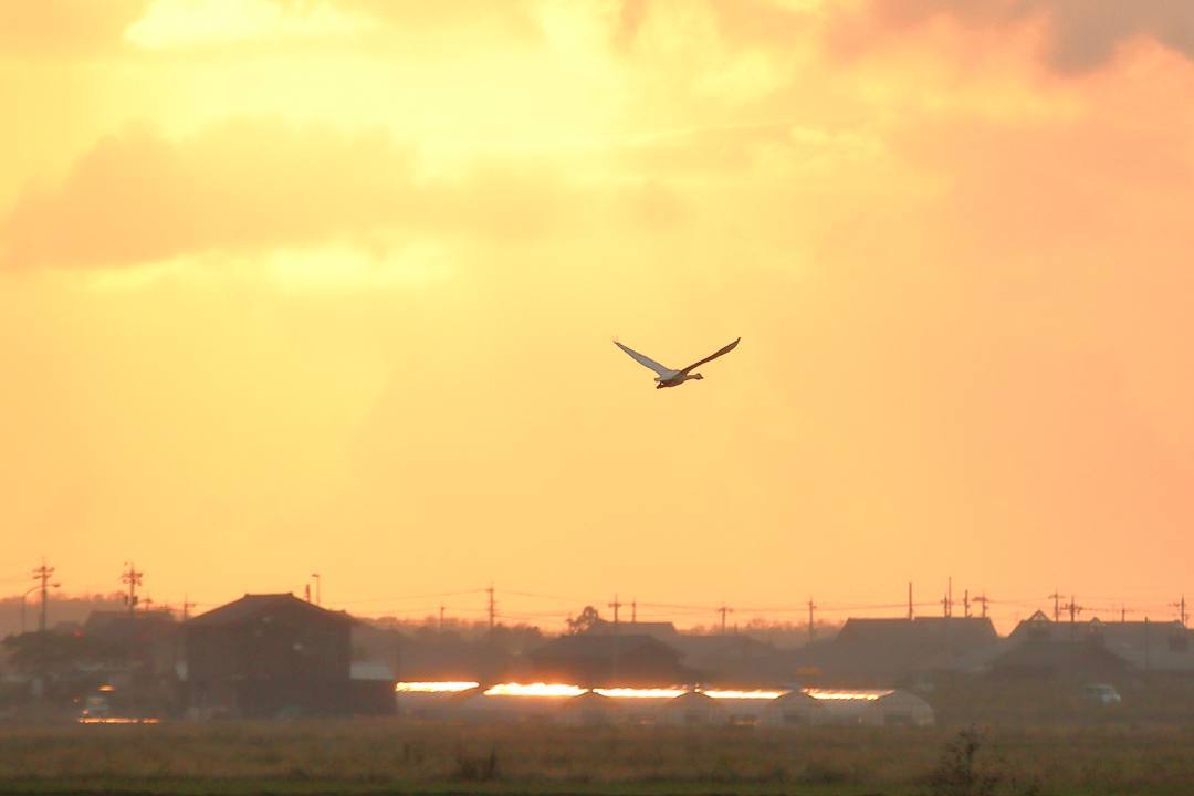 e0403850_12014530.jpg