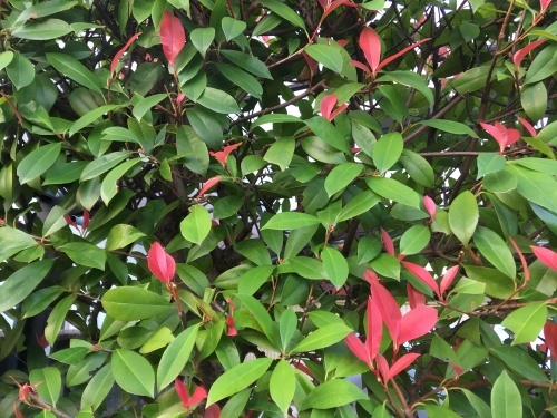a0152454_06553816.jpeg