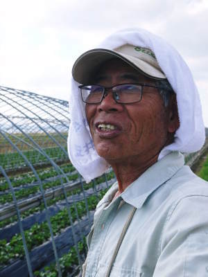 熊本産高級イチゴ『完熟紅ほっぺ』 令和元年も12月上旬からの出荷予定!定植後の様子を現地取材!_a0254656_17445765.jpg