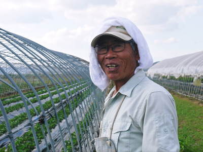 熊本産高級イチゴ『完熟紅ほっぺ』 令和元年も12月上旬からの出荷予定!定植後の様子を現地取材!_a0254656_18110403.jpg