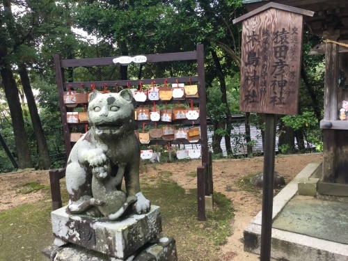 自然災害の10月。_d0137764_16061829.jpeg