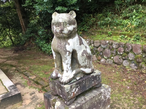自然災害の10月。_d0137764_16063446.jpeg