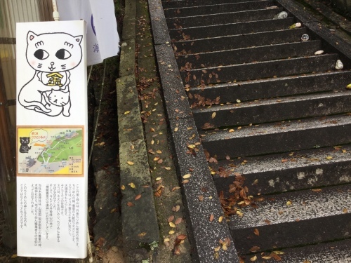 自然災害の10月。_d0137764_16090225.jpeg
