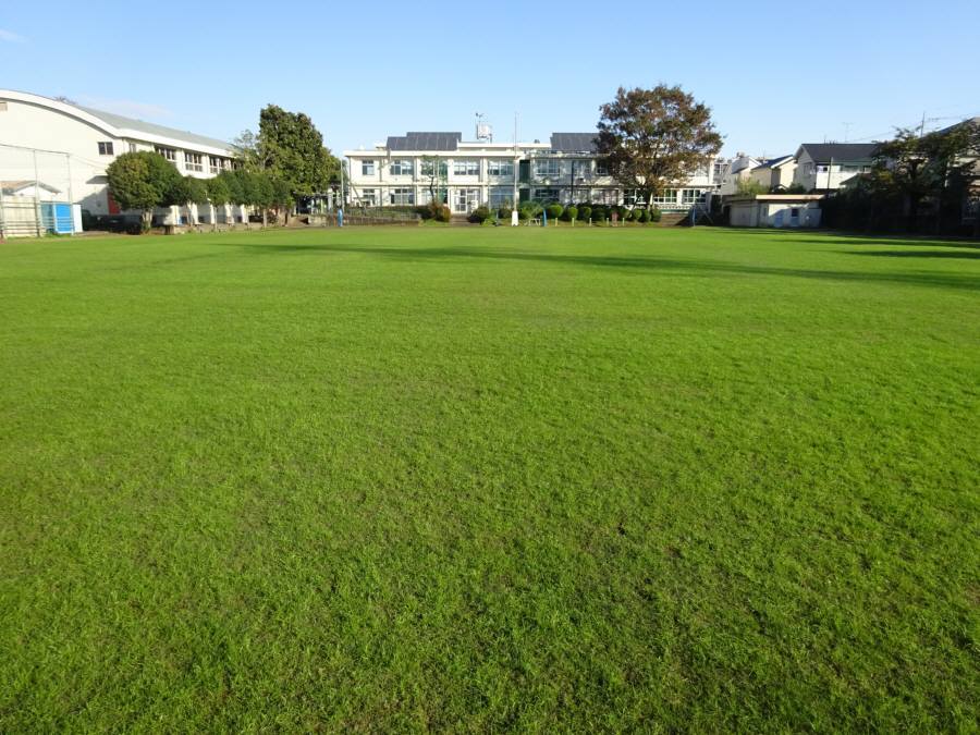 13小校庭芝生 10月下旬の朝 佐野いくおのブログ 13小校庭芝生 10月下旬の朝 佐野いくおのブログ