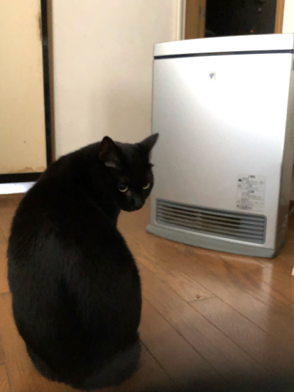 ヒーター前劇場_e0355177_09105948.jpg