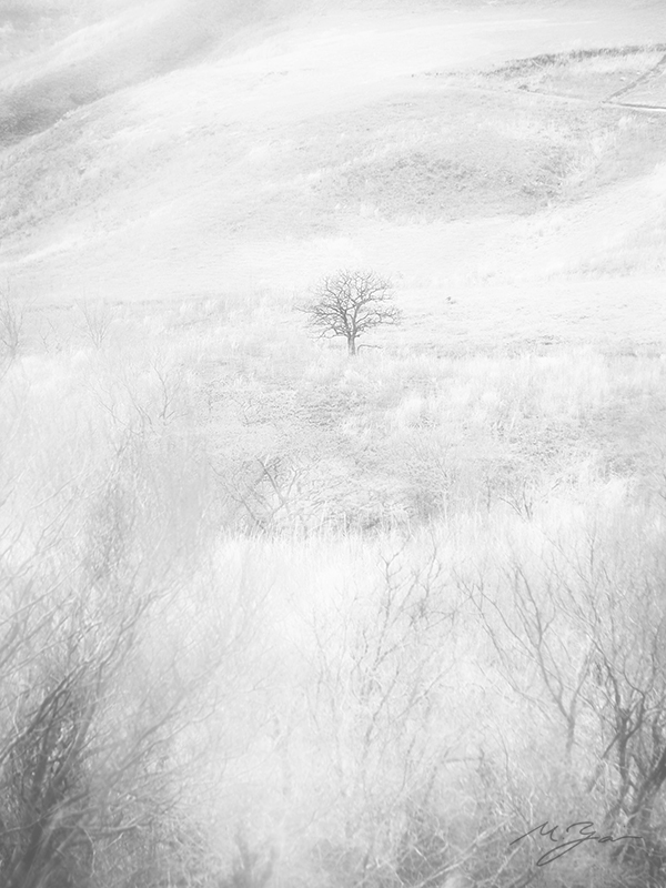 7年越しの画像処理_a0161380_10591546.jpg