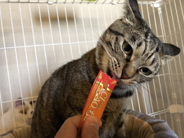 b0377882_19295841.jpeg