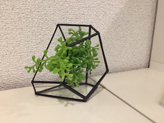 しゃぶ_a0258686_06392569.jpeg