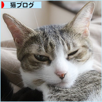 ただいま！_a0389088_16215400.jpg