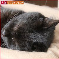 ただいま！_a0389088_16215477.jpg