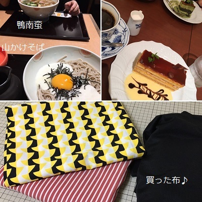 今日の王子と買った布♪_f0372998_21503881.jpg