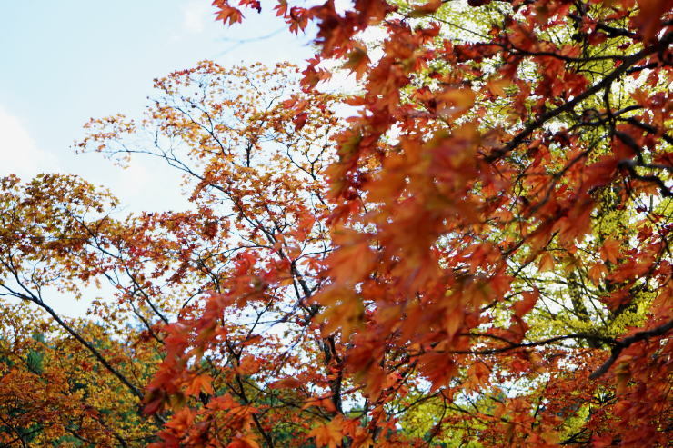 高野山へ_a0136507_21413218.jpg