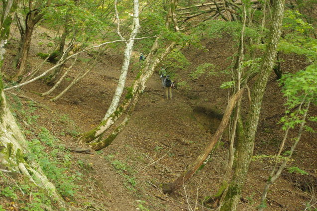 No 187  比良山系　武奈ヶ岳登山(2019.10.26～10.27)_d0341514_22004716.jpg