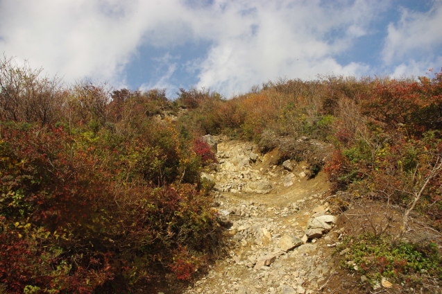 No 187  比良山系　武奈ヶ岳登山(2019.10.26～10.27)_d0341514_22053041.jpg