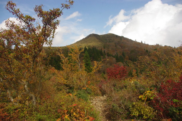 No 187  比良山系　武奈ヶ岳登山(2019.10.26～10.27)_d0341514_22064813.jpg