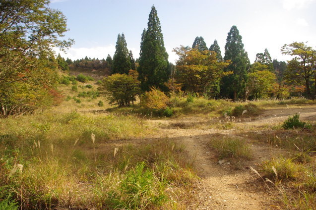 No 187  比良山系　武奈ヶ岳登山(2019.10.26～10.27)_d0341514_22114606.jpg