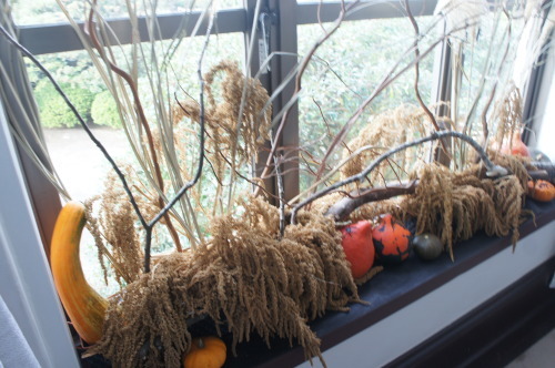 【Happy Halloween】_f0215714_16253109.jpg