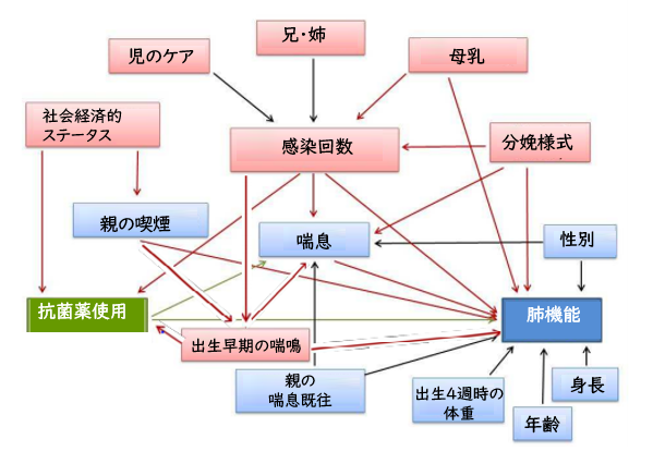 出生早期の抗菌薬曝露は、その後の肺機能に影響を与えるか？_e0156318_16441722.png