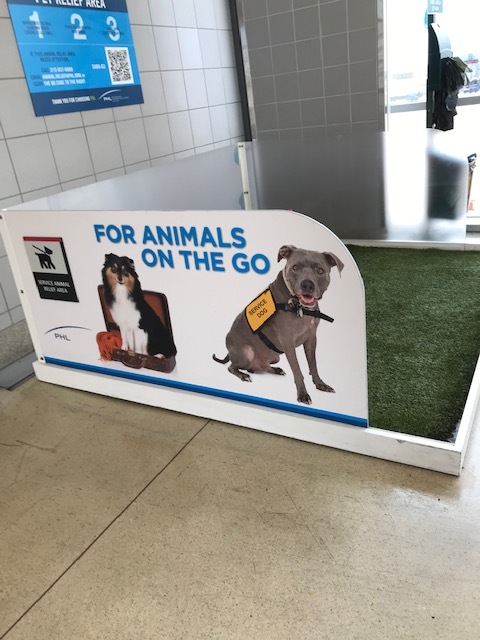 ただいま〜。今時アメリカの空港_d0269832_20041767.jpeg