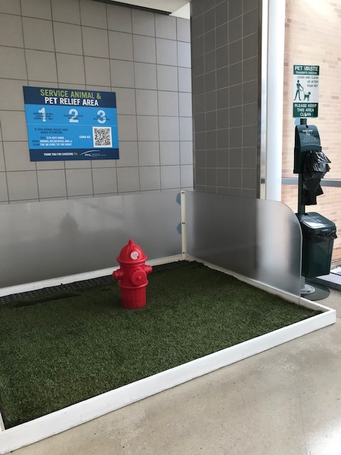 ただいま〜。今時アメリカの空港_d0269832_20043760.jpeg