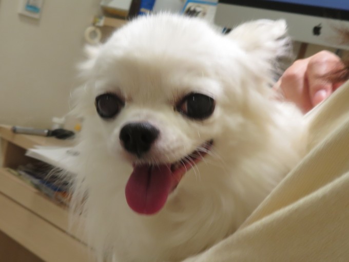 c0174644_19095945.jpg