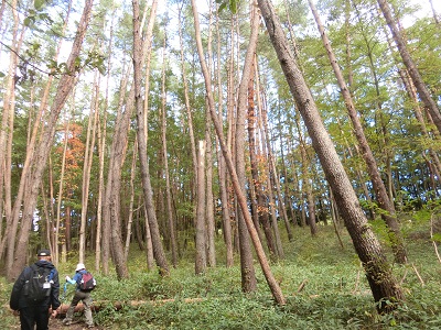 f0019247_92588.jpg