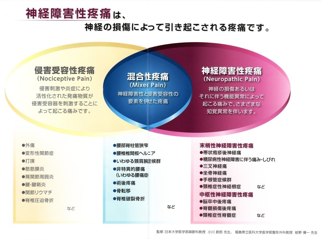 神経障害性疼痛（神経の痛み）という誤解される表現_b0052170_22584598.jpg