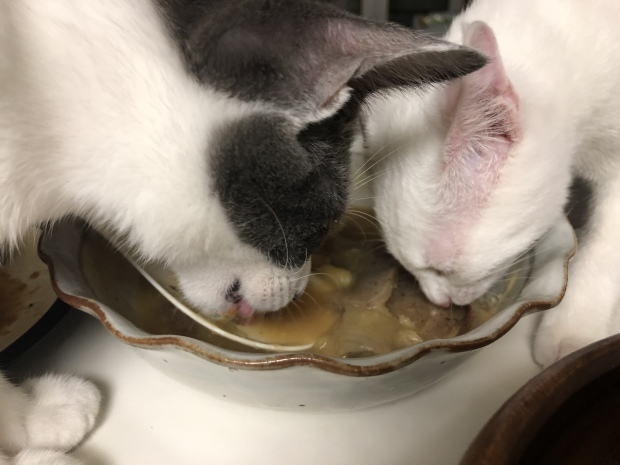 b0377882_23301536.jpeg
