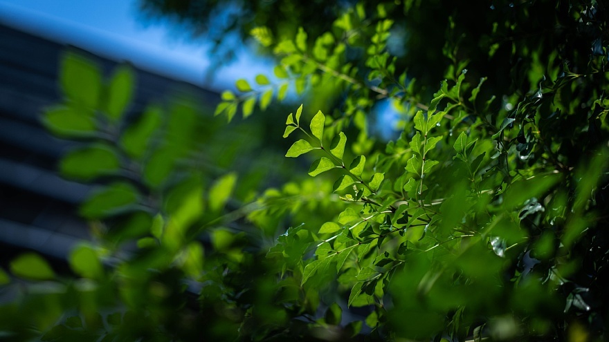暖秋に冷ややかな視線を送る光蜥蜴_d0353489_22052594.jpg