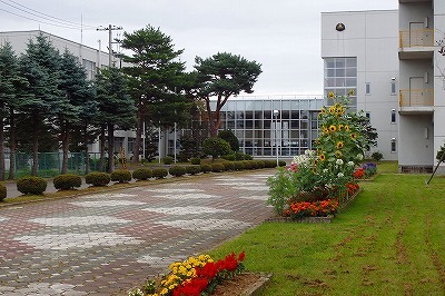 b0191190_17092210.jpg