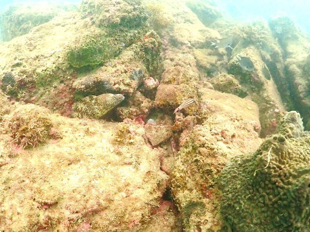 e0115199_15170381.jpg